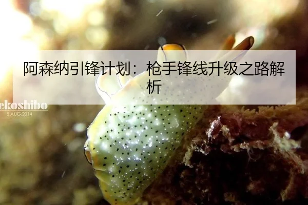 阿森纳引锋计划：枪手锋线升级之路解析